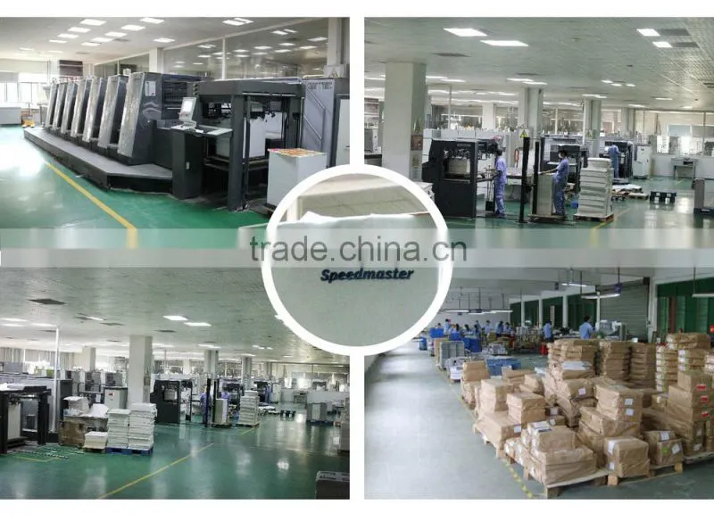 Price crash kids sticker China manufacturer custom sticker