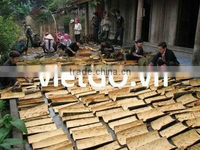 Broken Cassia With Best Price, hight quality