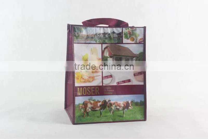 Lead-free 2 Pack Recycled Bottle Bag