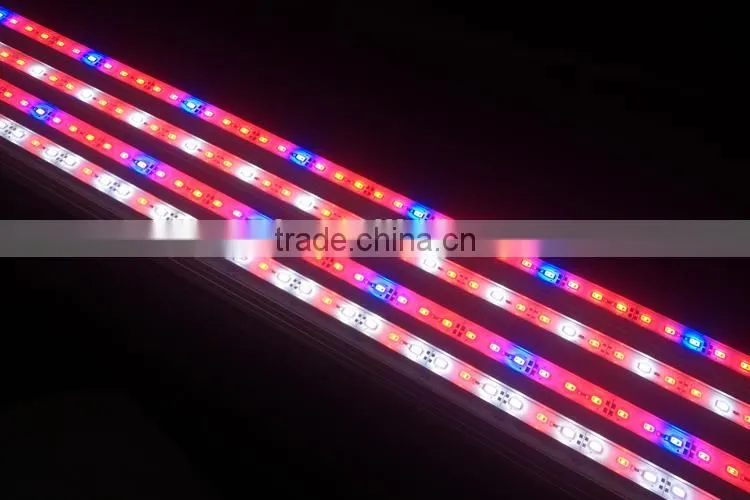 aquarium LED lights, ocean light LED,led aquarium light