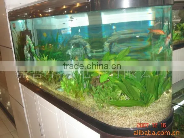 Acrylic Aquarium