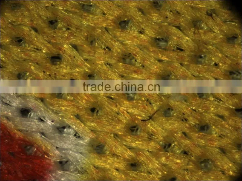 High Speed USB3.0 5.0Mp CMOS Microscope Camera