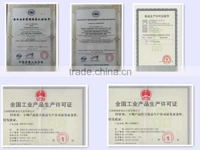50g tomato ketchup in sachet china tomato paste