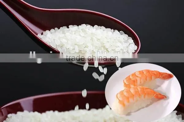 2015 gaishi Chinese white rice exporter short grain wihite rice 5 broke for sushi products