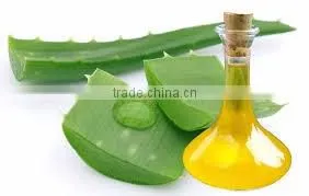 Natural Plant Extract Aloe Vera