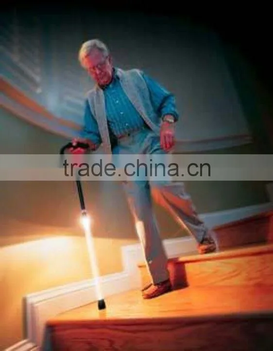 Pet LED Safety Light