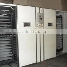 Shandong Meng Qian Breeding Equipment Co., Ltd. company overview - view 1