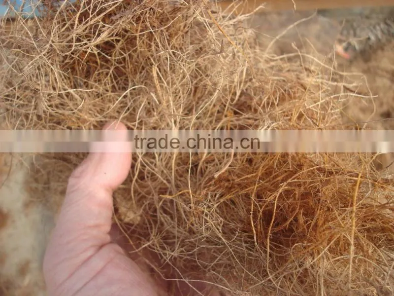 fiber extractor machine made in China to process coconut husks and oil palm empty fruit bunches