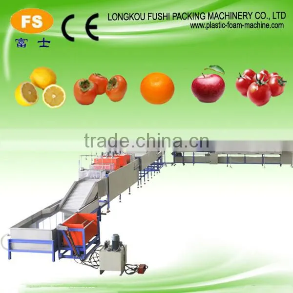 Automatic Sorting Machine