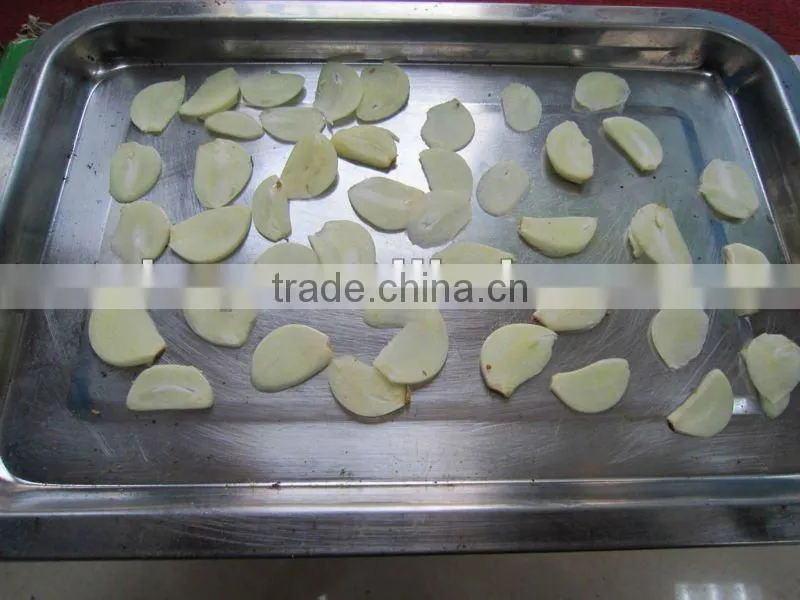 China supply YSP-10 automatic ginger slicing machine garlic slicer ginger garlic slicing cutting machine for root vegetables