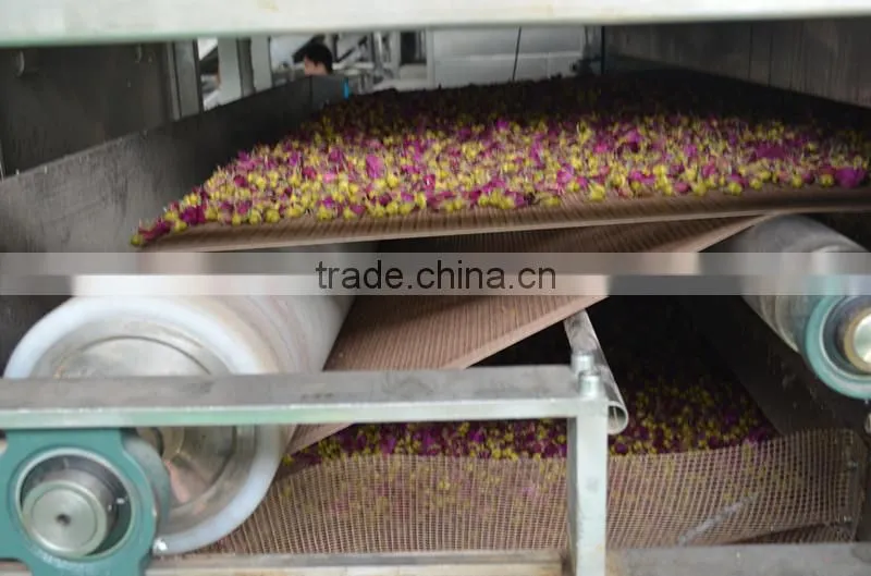 Mesh machine Type and New Condition Mesh Belt Dryer