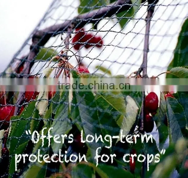 hdpe agricultural bird netting, plastic garden bird catch net for sale