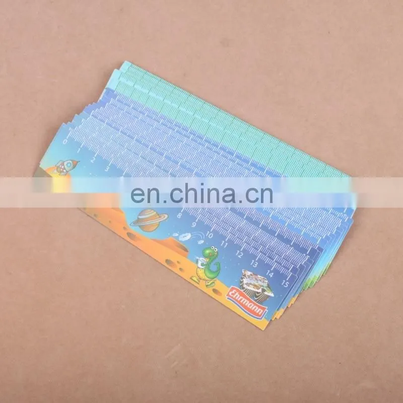 Custom 15cm 30cm PVC PP Flexible Plastic Ruler
