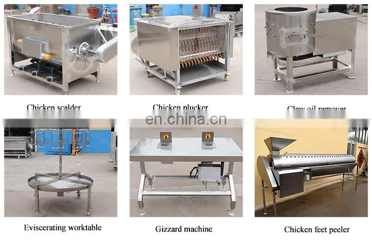 Small chicken meat cutter bandsaw for meat and bone cutting machine