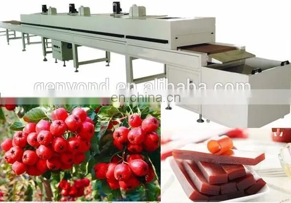 Hawthorn seed making machine fruit leather cutting machine