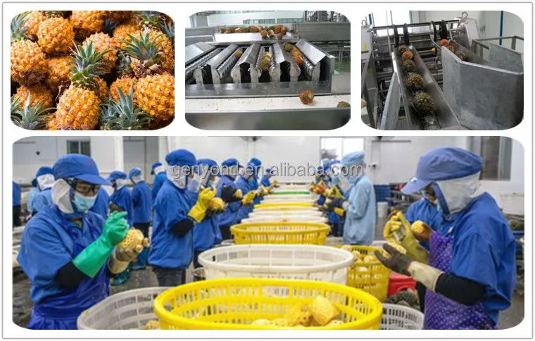 High Efficiency Canned Pineapple Processing Plant / Pineapple in Syrup Processing Line