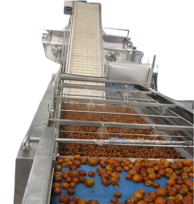 Turnkey Project Date Paste Production Line
