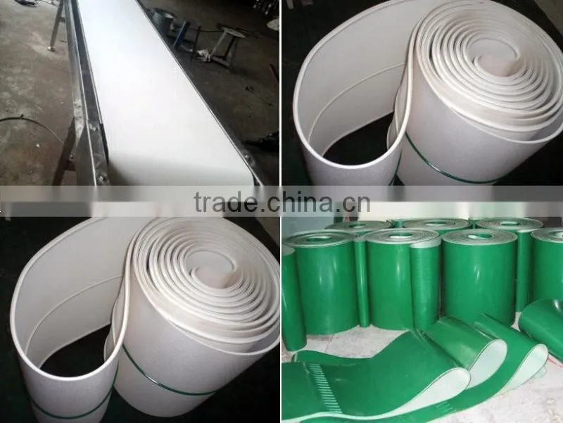 Stainless Steel Fruit Belt Conveyor Price
