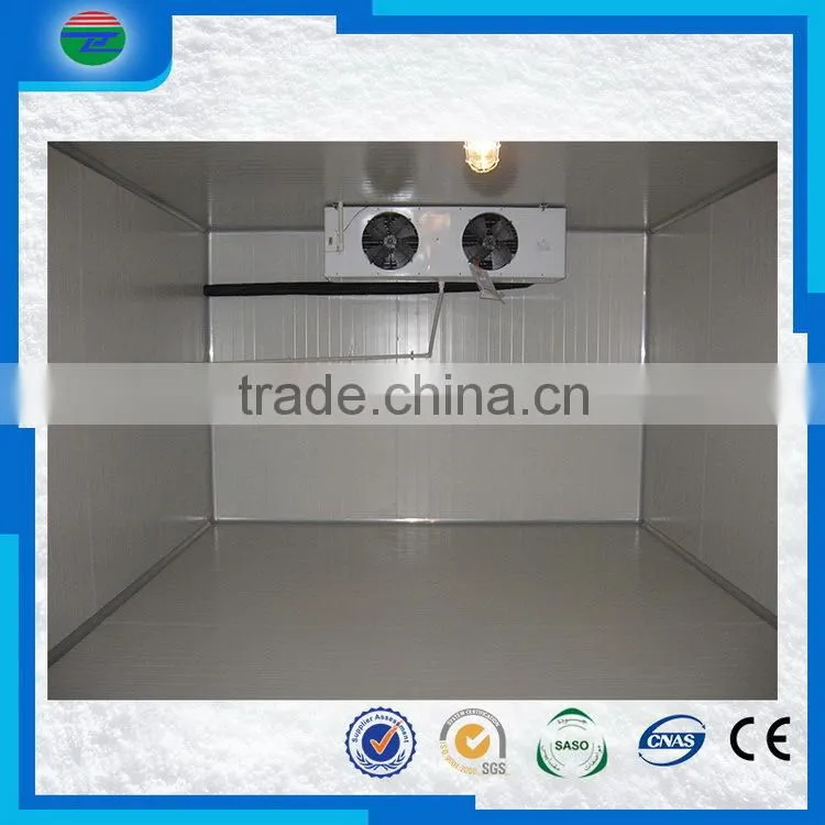 Latest Fashion best quality cold room/cold storage for fruit and meat