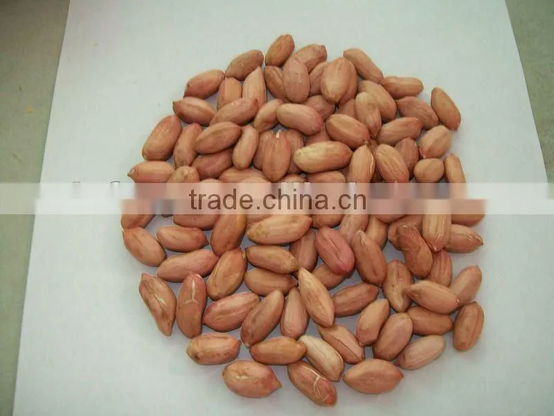 Roasted Shelled Peanut
