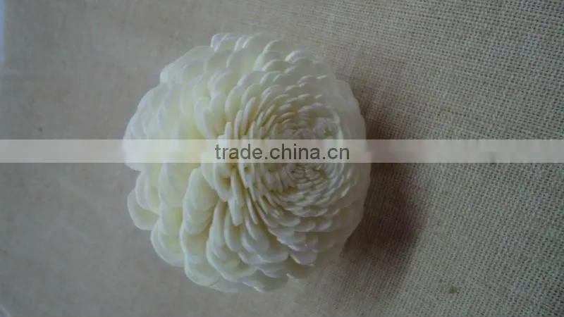 sola flower