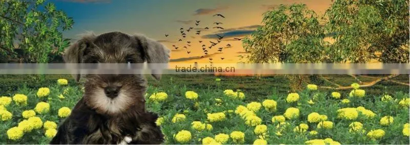 2012 promotional animation 3d bookmark
