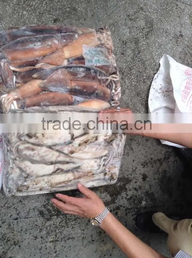 squid 400-600 double hooks squid hooks in Argentine sea