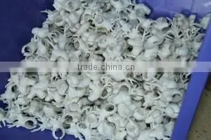 Animal Empire PVC Animal Ring Toys, soft plastic wild animal ring toy for kids,pvc animal ring toy QQ228857