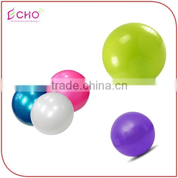 Gym Fitness 60 cm Explosion-proof Yoga Assistance Yoga Balance Ball
