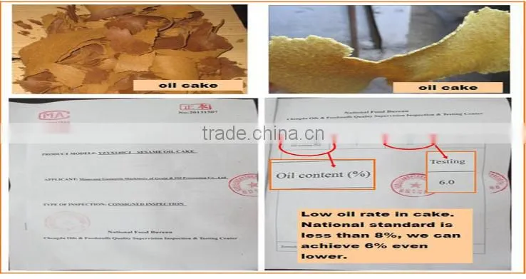 Factory price groundnut oil machine for big profit