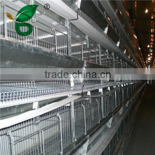 H type automatic chicken cage