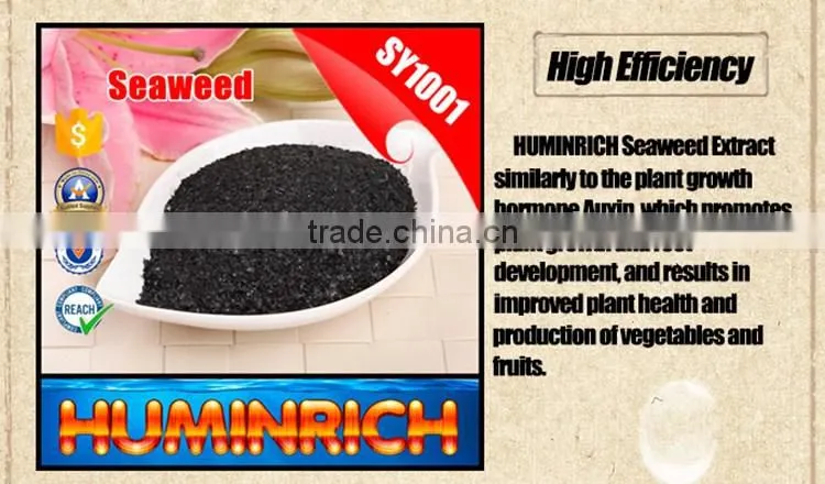 FAQ 27--Effect Of Seaweed Fertilizer On Red Bayberry