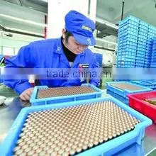 Shenzhen Glida Electronics Co., Ltd. company overview - view 3
