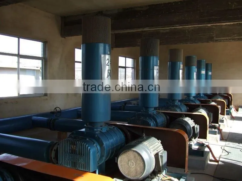 High-pressure Vacuum Pump