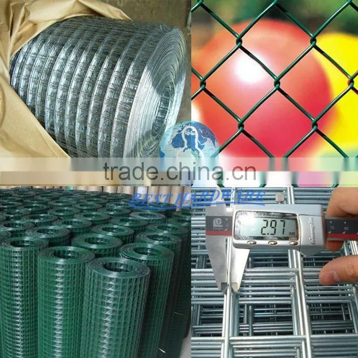 2x2 galvanized welded wire mesh panel