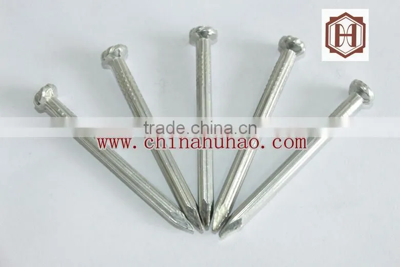 Various Galvanized Concrete Steel Nails /Harden Steel Nails