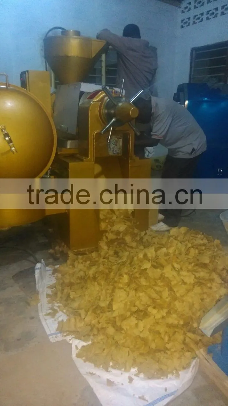 YZLXQ120 sesame oil making machine with oil filter