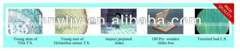 Microscope Glass Slide and Coverslip