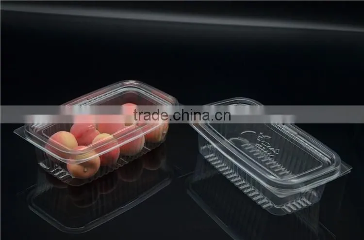 hot-sale plastic blister sushi container