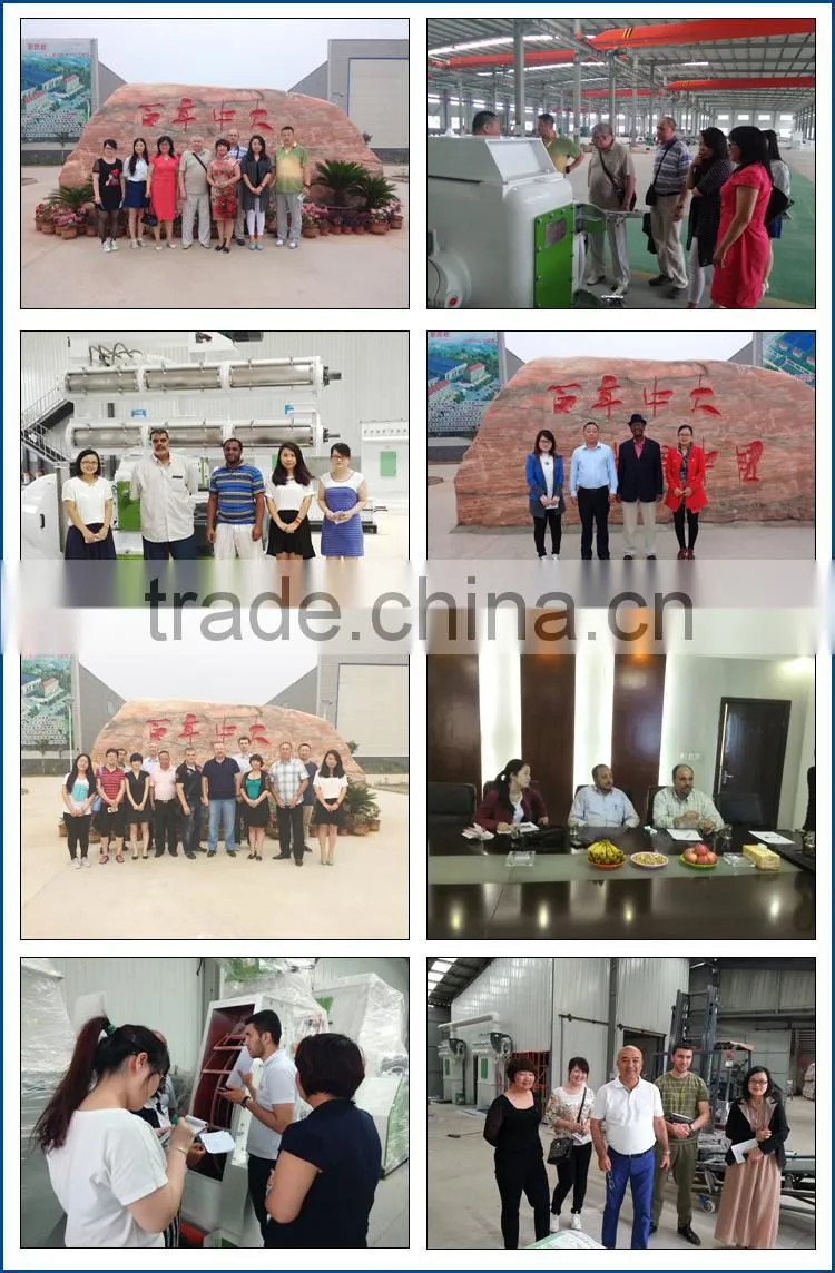 China Top 3 feed mill equipment supplier 5Ton animal poultry feed mill equipment