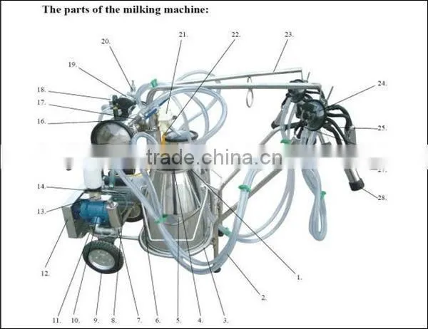 camel milking machine