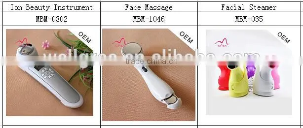 Gree Well offer multi-function handheld mini facial steamer Ion facial steamer