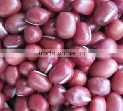 China Small Red Beans 2010 CROP