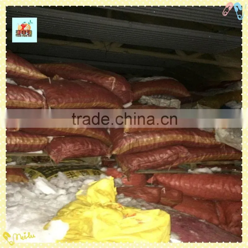 The best Chinese Chestnuts Species--Fresh Chestnut for sale