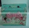 Cosmetic Box/Powder Box/Make Up Box