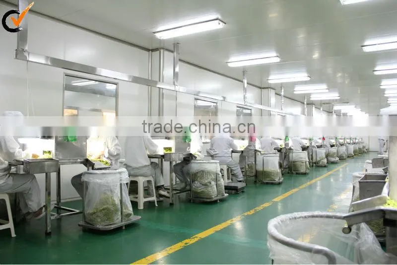 china ginger granules for dehydrated food spices in life