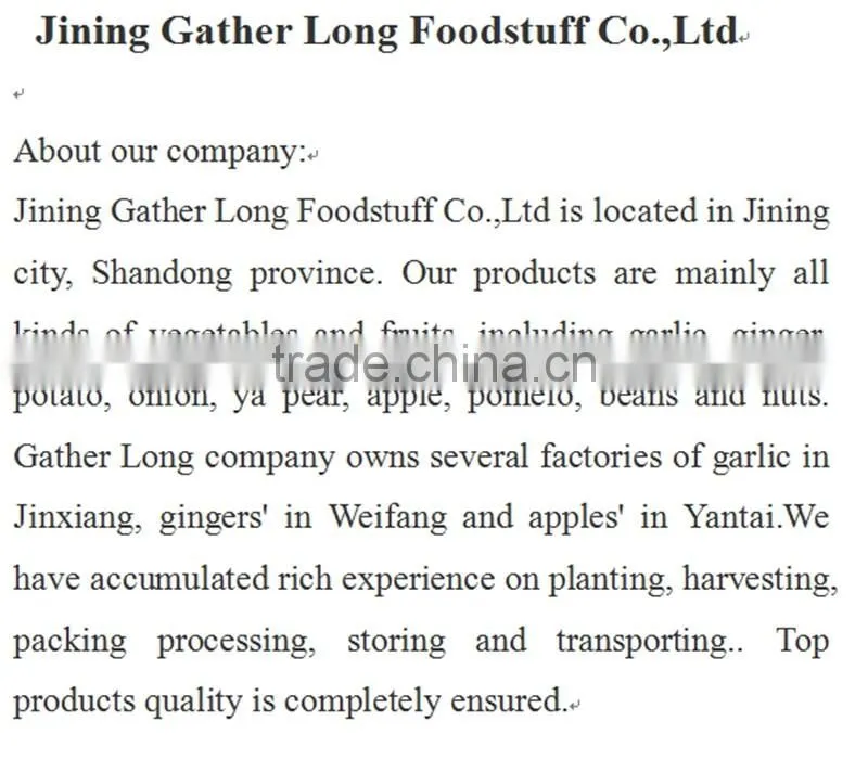 Low Price Buy Chinese Garlic