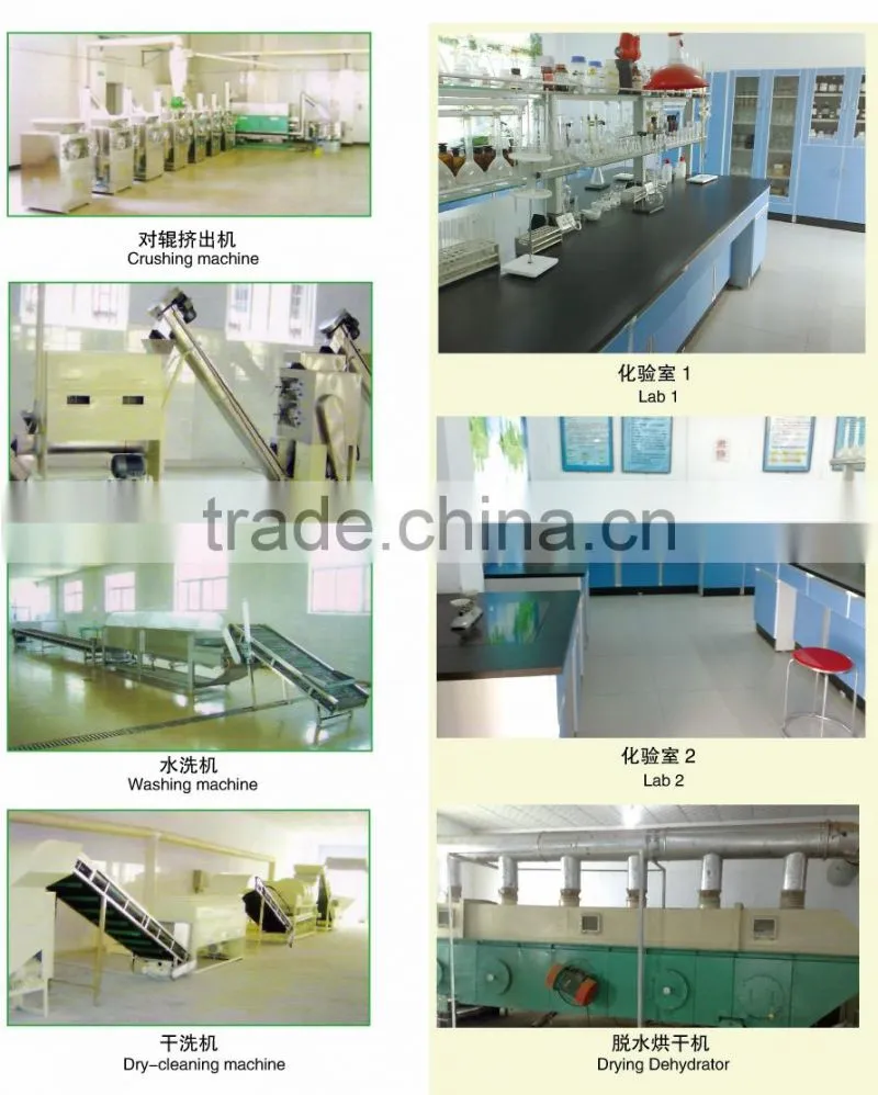 2015 Chinese dried chilli crushed, 2nd grade40-80mesh TOP Sanying red chilli pepper crushed free sample