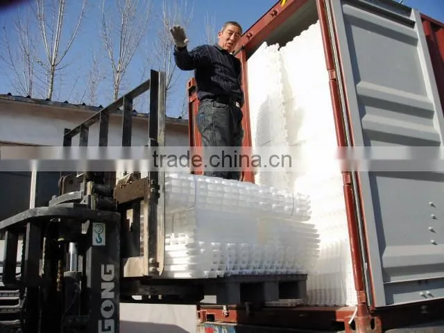 Hot sale! plastic floor for poultry