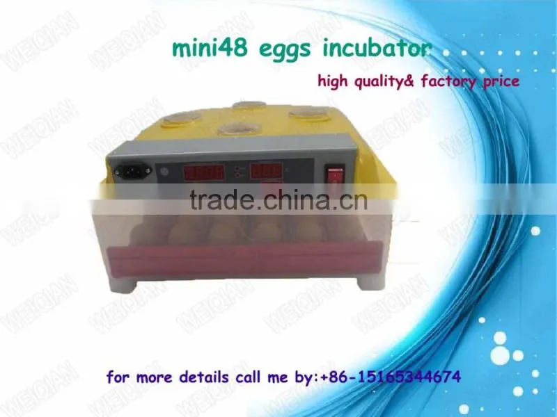 144 quail egg mini hatchery price in UK WQ-36